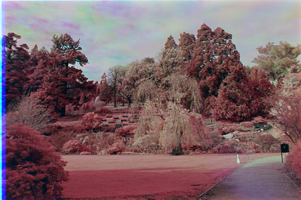 2025-05-29
