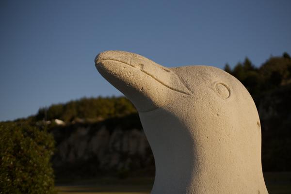 2026-02-27 Oamaru Harbor