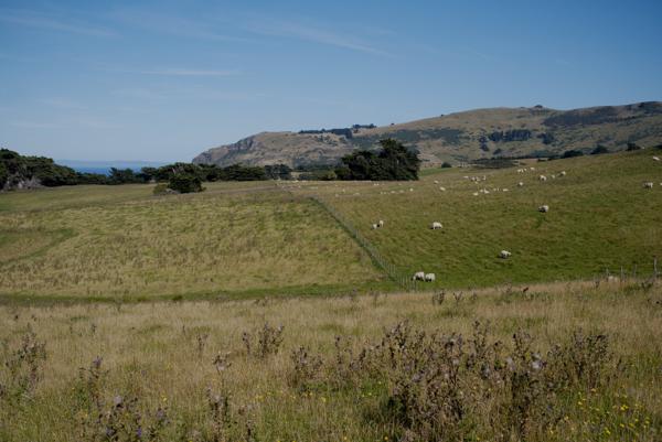 2026-02-28 Sandfly Bay