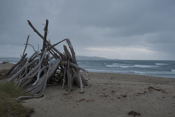 2026-04-06 Catlins