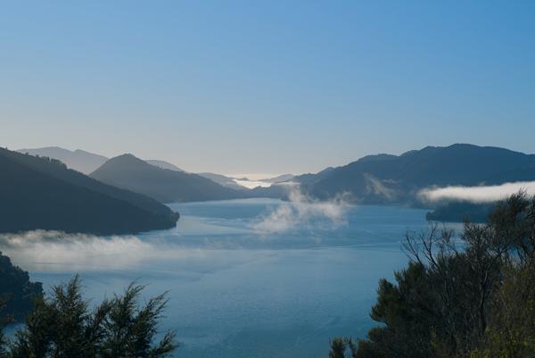 2026-07-17 Picton to Wellington